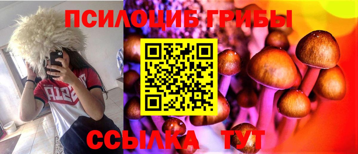 Галлюциногенные грибы MAGIC MUSHROOMS  Вход с VPN  купить  цена  Псилоцибиновые грибы GOLDEN TEACHER  Рассказово 